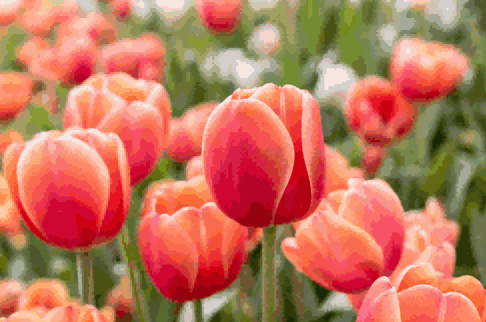 海关数据,易币付(中国)海关数据,荷兰海关数据