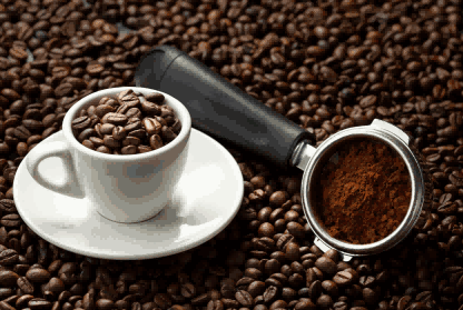 外贸数据,咖啡外贸数据,肯尼亚咖啡外贸数据