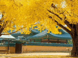 韩国外贸数据,外贸数据,易币付(中国)外贸数据